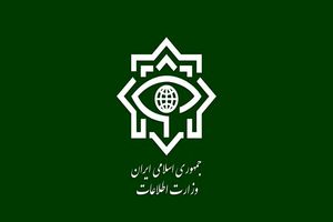 هشدار امنیتی وزارت اطلاعات درباره تردد خودروهای مشکوک